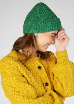 IrelandsEye Chunky Knit Hat | Green